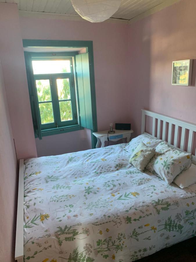 Pensjonat Sao Miguel House , Casa Do Carvalhal Santarém Zewnętrze zdjęcie